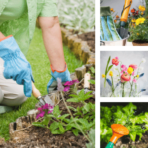 gardening with flowers