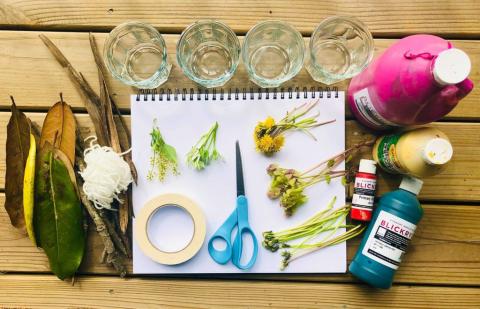 Nature's Paintbrushes