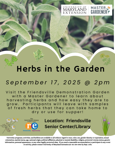 Image of herbs and details about herb gardening program.