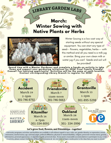 Library Garden Lab:  Seed Spirals with Cucumbers or Squash