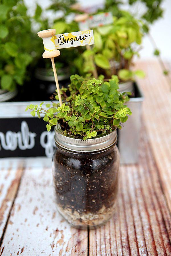 Herbs in Mason Jars