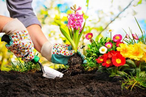 From Mountains to Seas: Maryland's Natural Areas Gardening