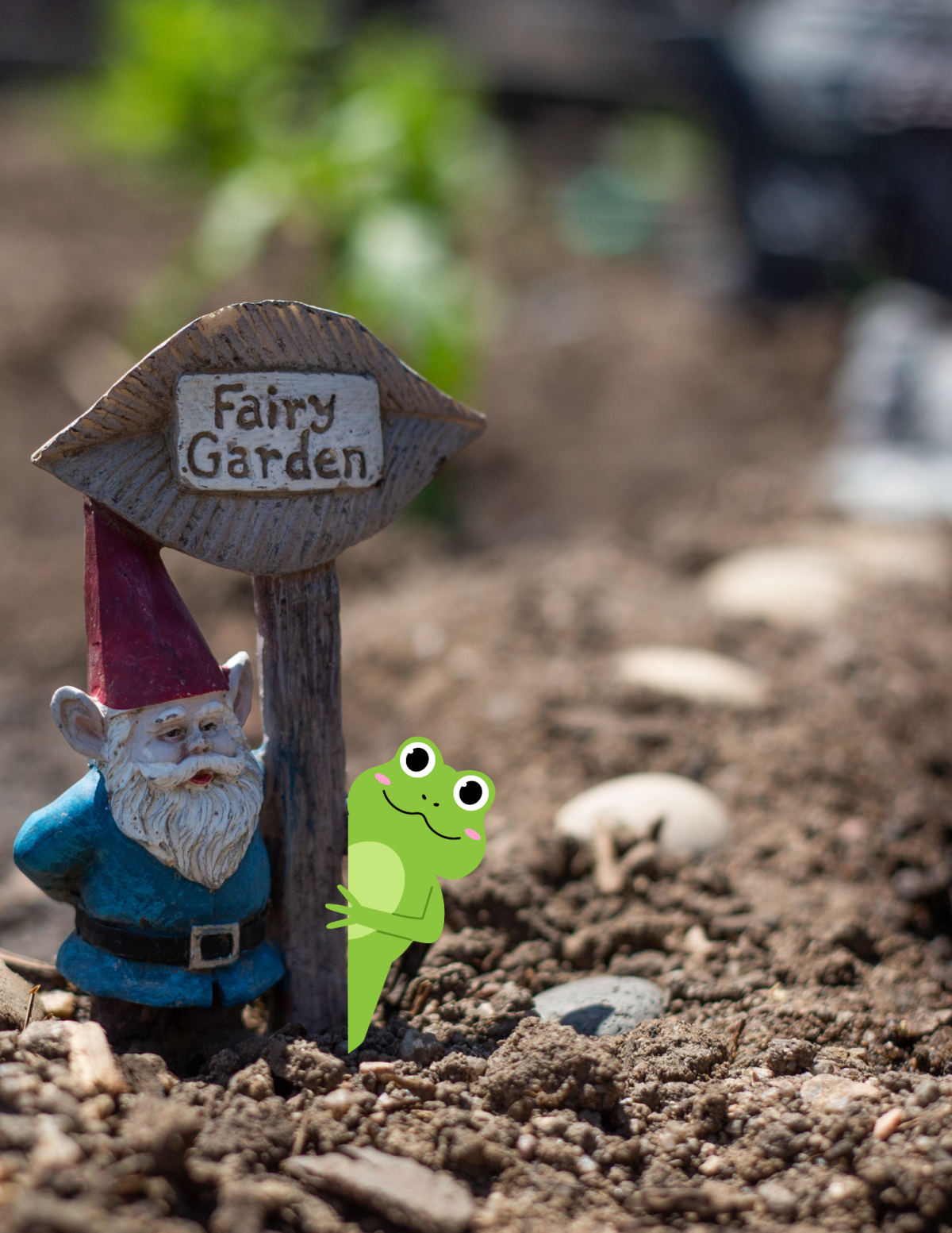 Fairy Garden Gnome and Frog Photo